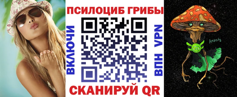 Псилоцибиновые грибы прущие грибы  Купить закладки  Ахтырский 